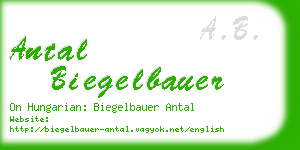 antal biegelbauer business card